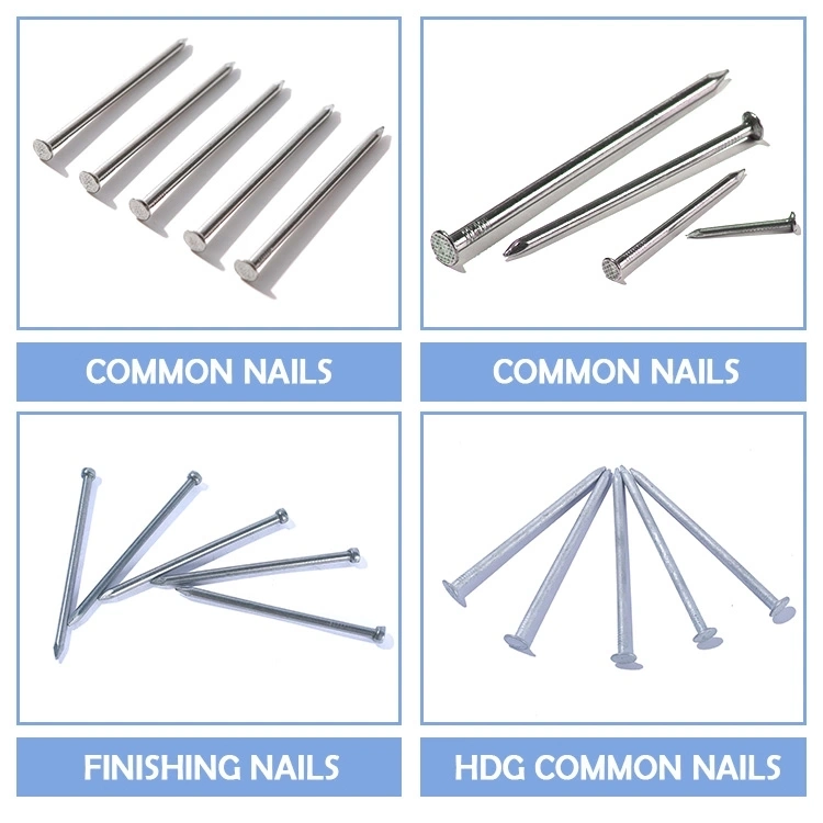 Wholesale Framing Nails/Common Nails/Common Nails in Box