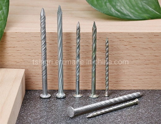 TGR/Tsingri Stainless Steel Flat Round Water Head Spiral Shank Concrete Nails Knurled Body Nails