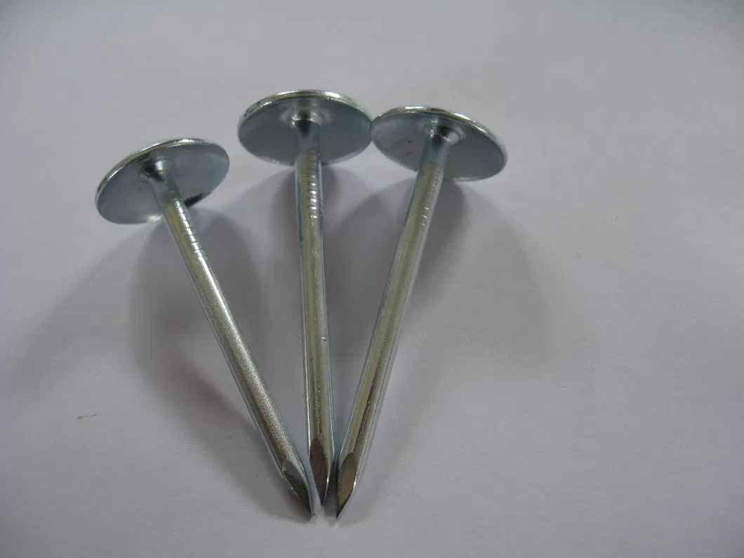 Galvanized Umbrella Head Roofing Nails with Smooth/Twist Shank