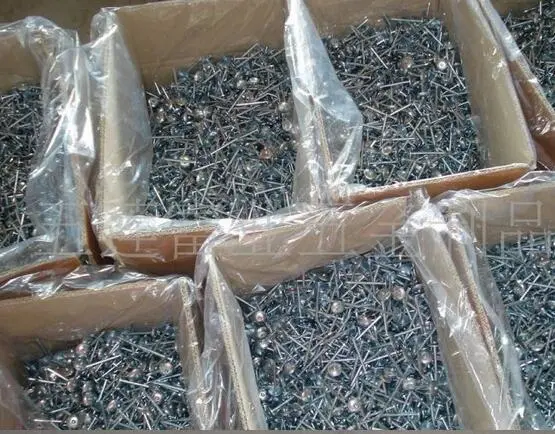 Hot Sale E-Galvanized Umbrella Head Roofing Nails