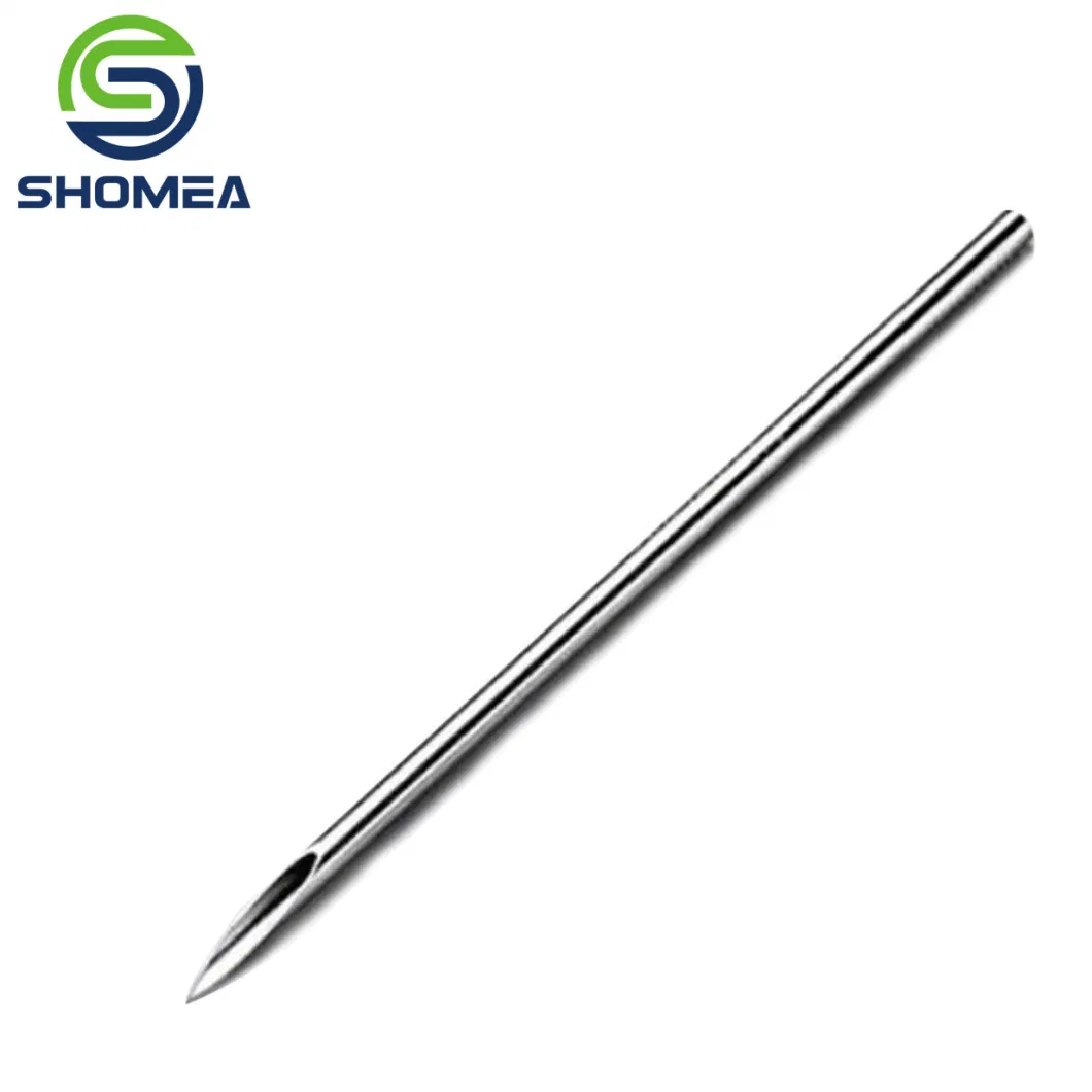 Shomea Custom Precision 304 Stainless Steel Flat Round Head Nails with Pencil Point