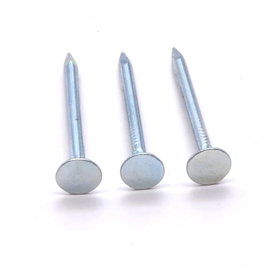 1 Inch High Quality Galvanized Large Flat Head Zinc Coating Iron Clout Nails Roofing Ceiling Nails