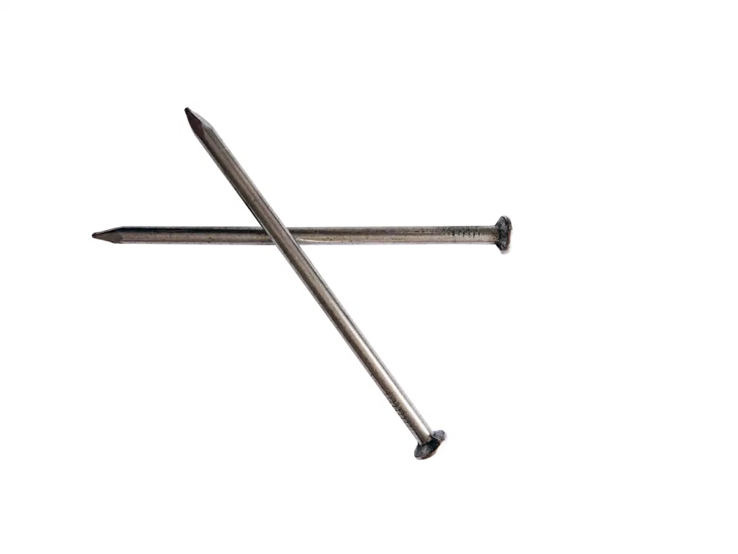 Square Shank Boat Nail