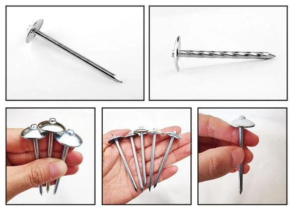 Galvanized Umbrella Head Roofing Nails with Smooth/Twist Shank by Low Price