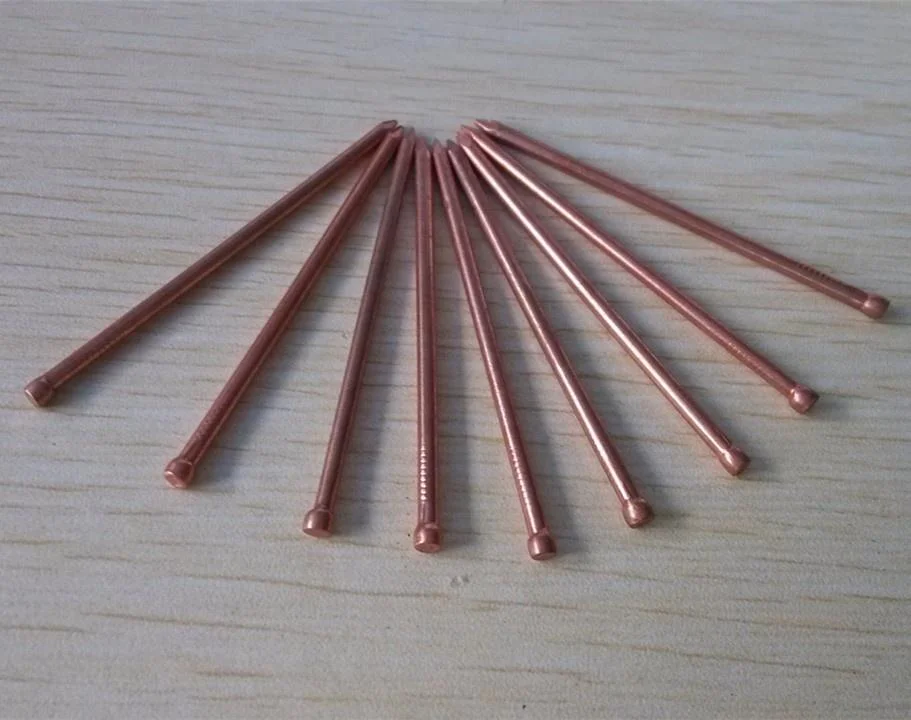 Best Selling Common Nails with 3/4 -5 Inch 99.99% Copper Nails