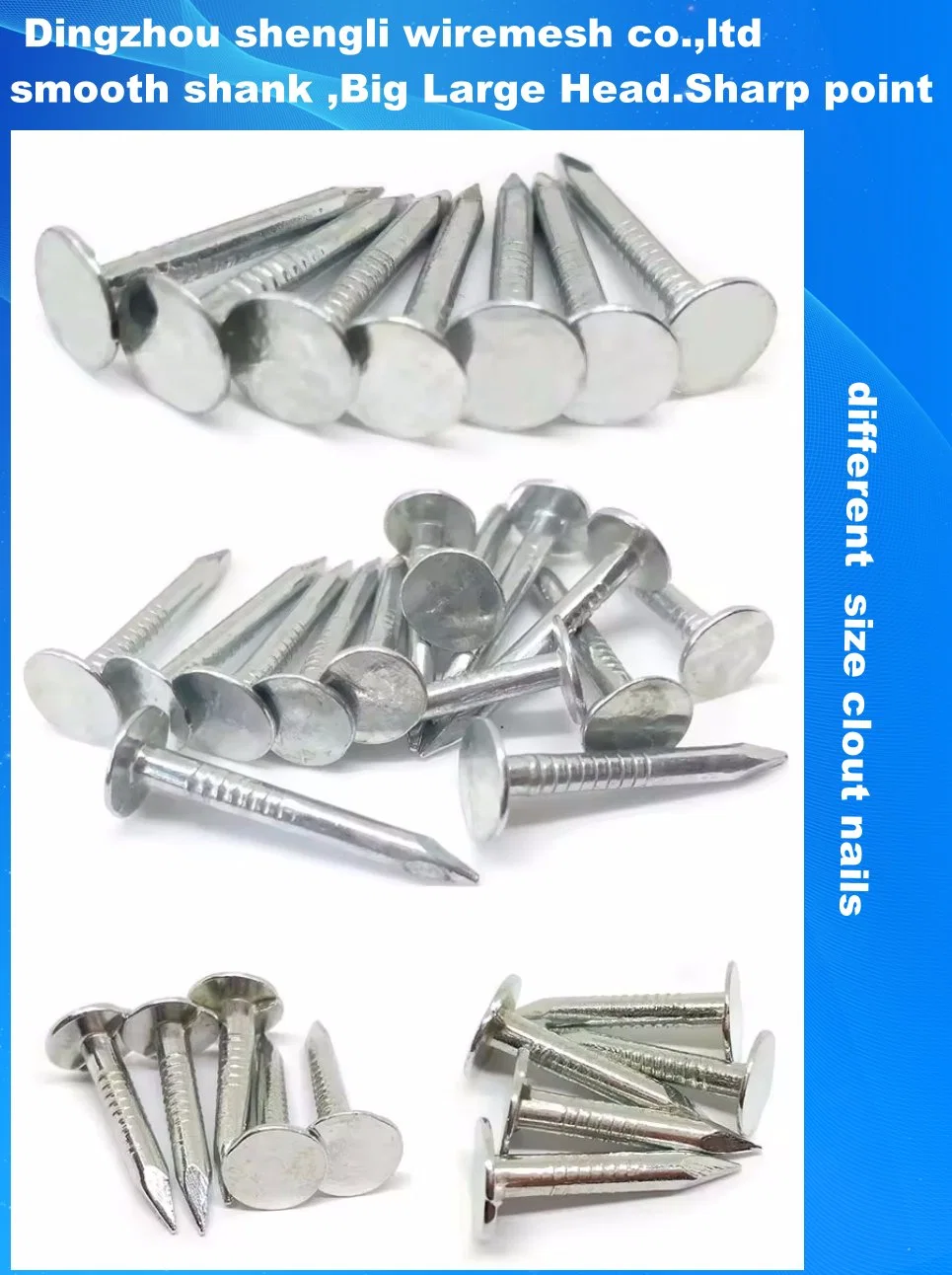 China Cheap Price 50mm X 3.05mm Galvanized Flat Large Head Galv. Roofing Clout Nail