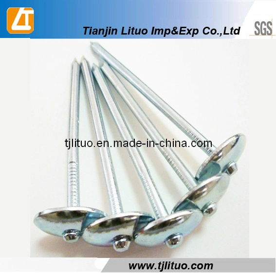 Electro Galvanized Umbrella Head Roofing Nails