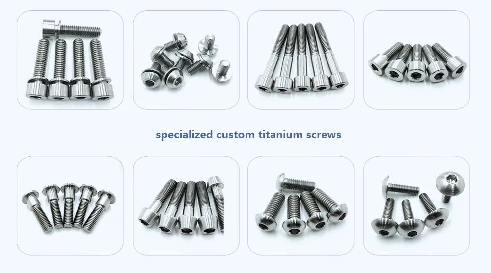 Concrete Titanium Flower Head Wall Wood M7 20 Screws Set Tungsten T5 M3 T7 M16 T9 Bolt M8 Torx Plum Tox Screw Torx Screw