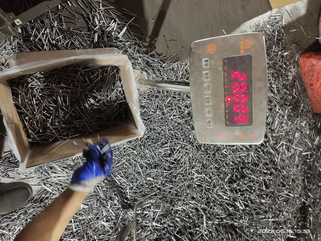 Hot Dipped Galvanized Double Head Nail with High Quality for Construction