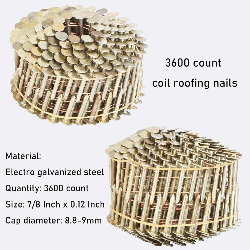 Smooth/Twisted//Screw/Spiral Shank Wire Coil Roofing Nail/Coil Nail/Strip Nail/Framing Nail/Pallet Nail for Construction