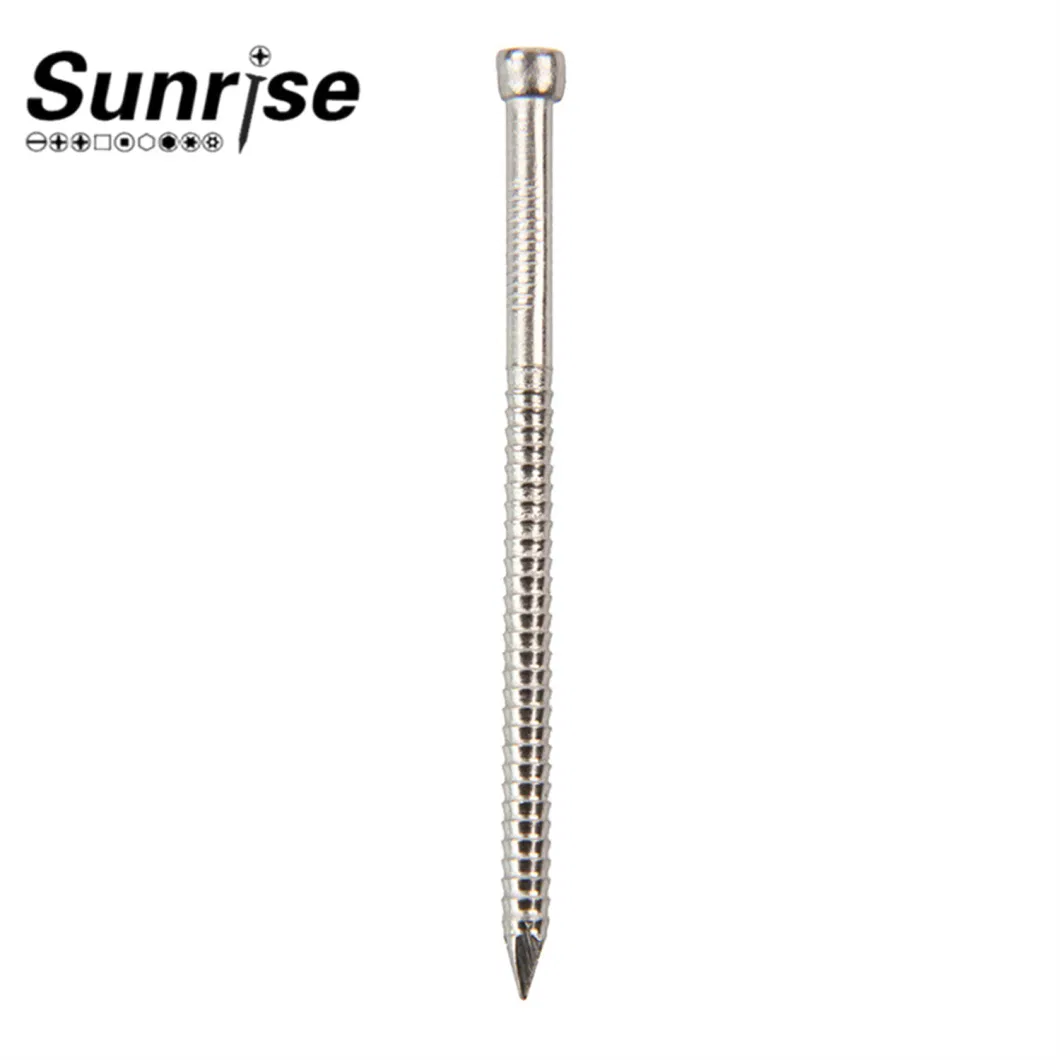 Various Head Types Stainless Steel Loose Nails Screws