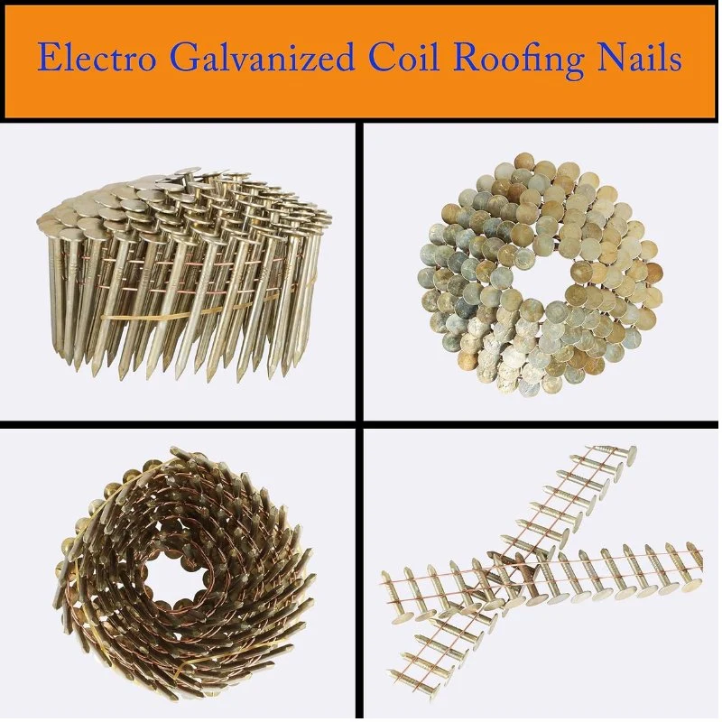 1200 Counts Coil Siding Nail Full Round Head Wire Collated Coil 15-Degree 1-1/4-Inch X. 090-Inch Ring Shank 304 Stainless Steel Coil Roofing Nails