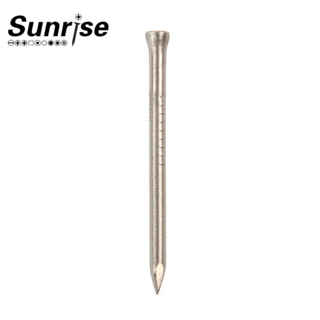 Stainless Steel Loose Nails Screw