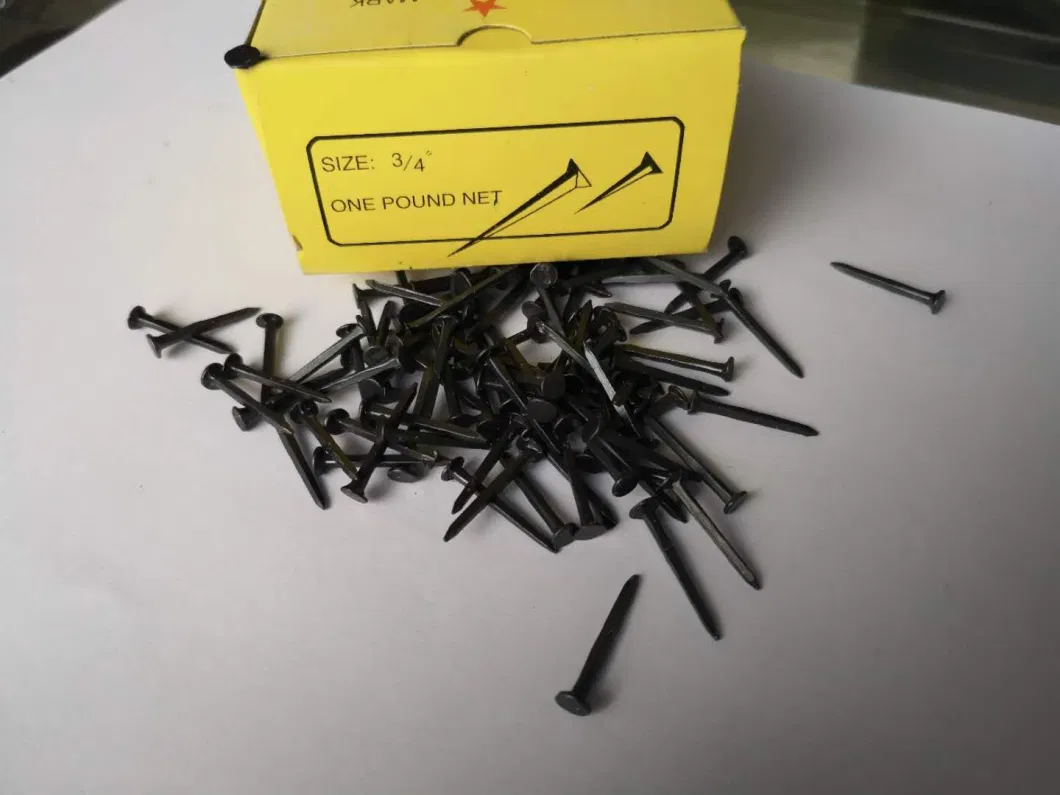 Hot Sale Popular 5/8&quot; 3/4&quot; 1/2&quot; 1&quot; Shoe Tack Nails with Good Quality