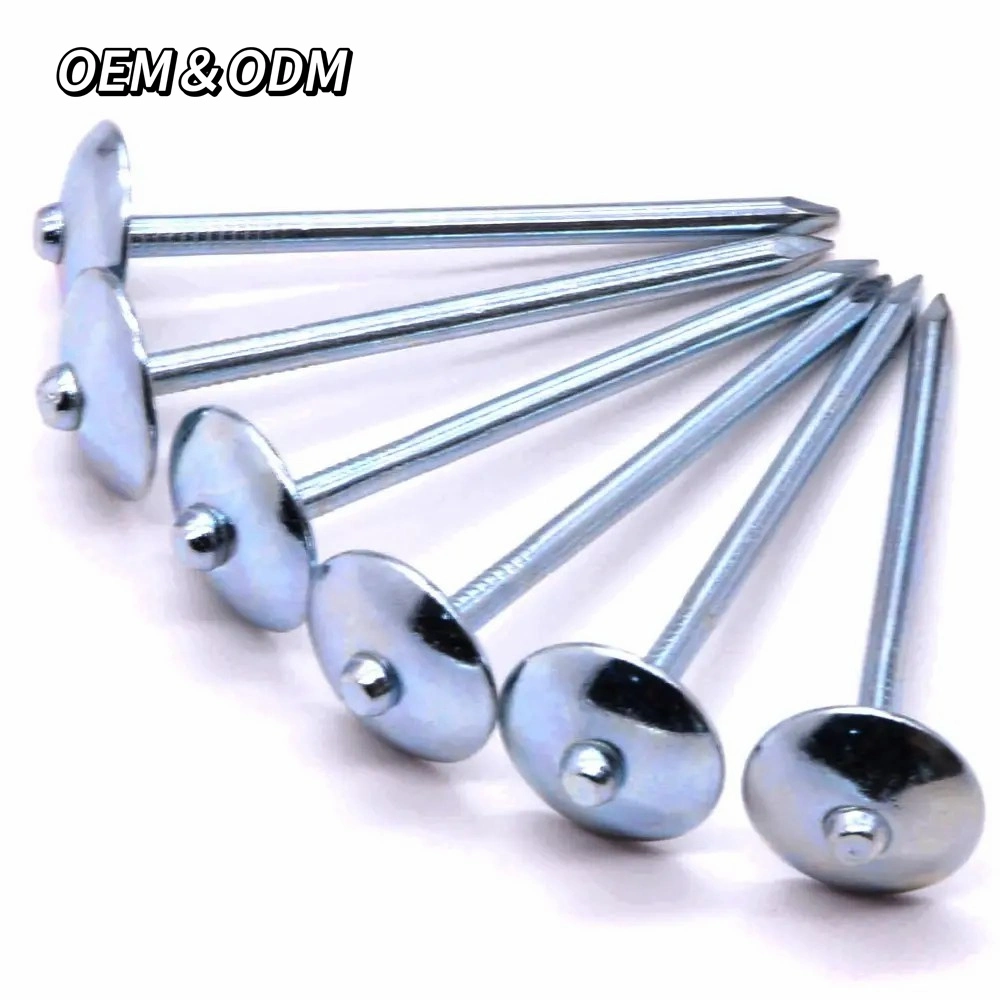 2.5inch Galvanized Umbrella Head Roofing Nails