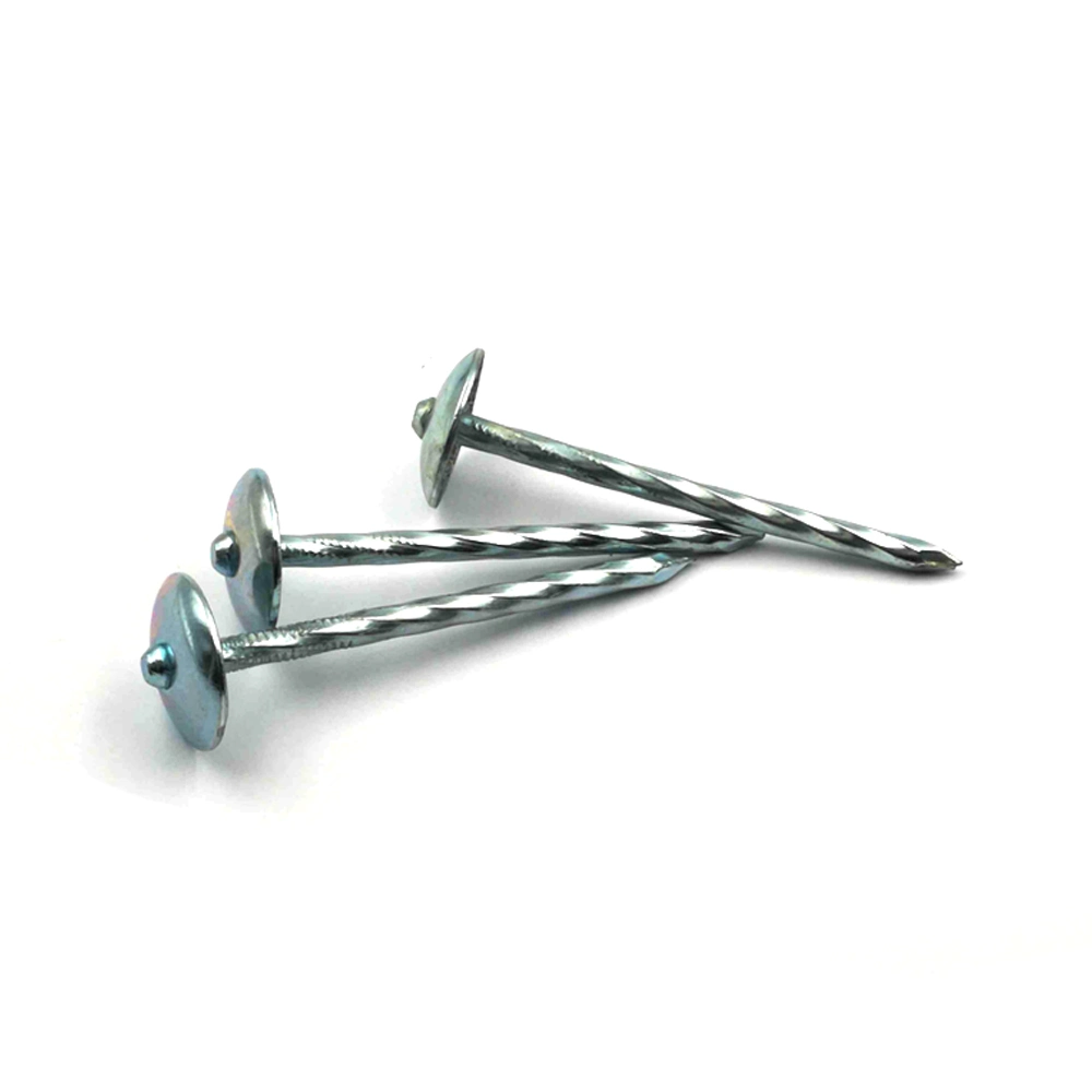 Galvanized Umbrella Head Roofing Nail with Spiral Shank