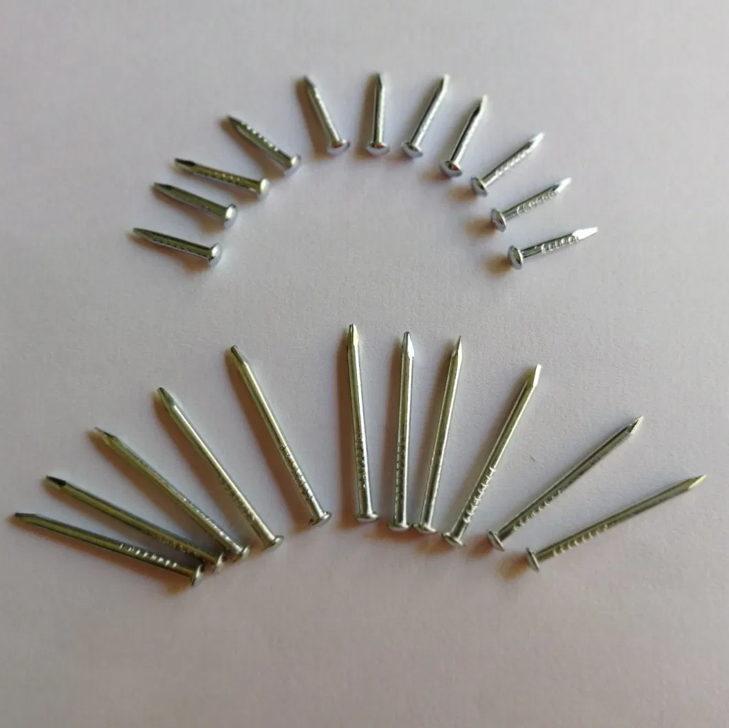 Low Price Finishing Nail/Furniture Nail/Brad Head Nail/Lost-Head Nail