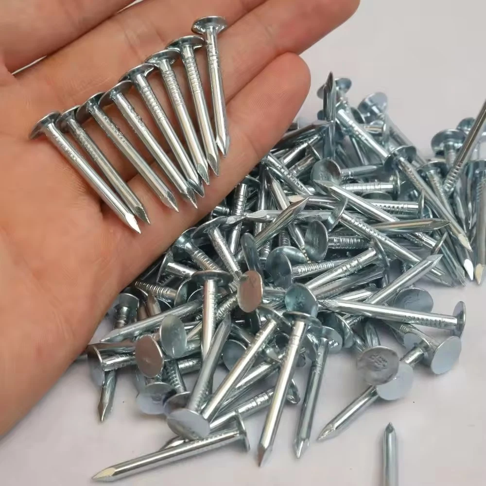 Flat Big Head Clouts Nail Common Wire Nail Steel Concrete Iron Nail