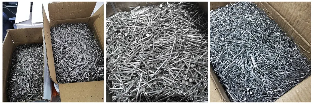 China Supplies Construction Building Zinc Copper Metal Iron Flat Head Galvanized Steel Concrete Nail for Wood