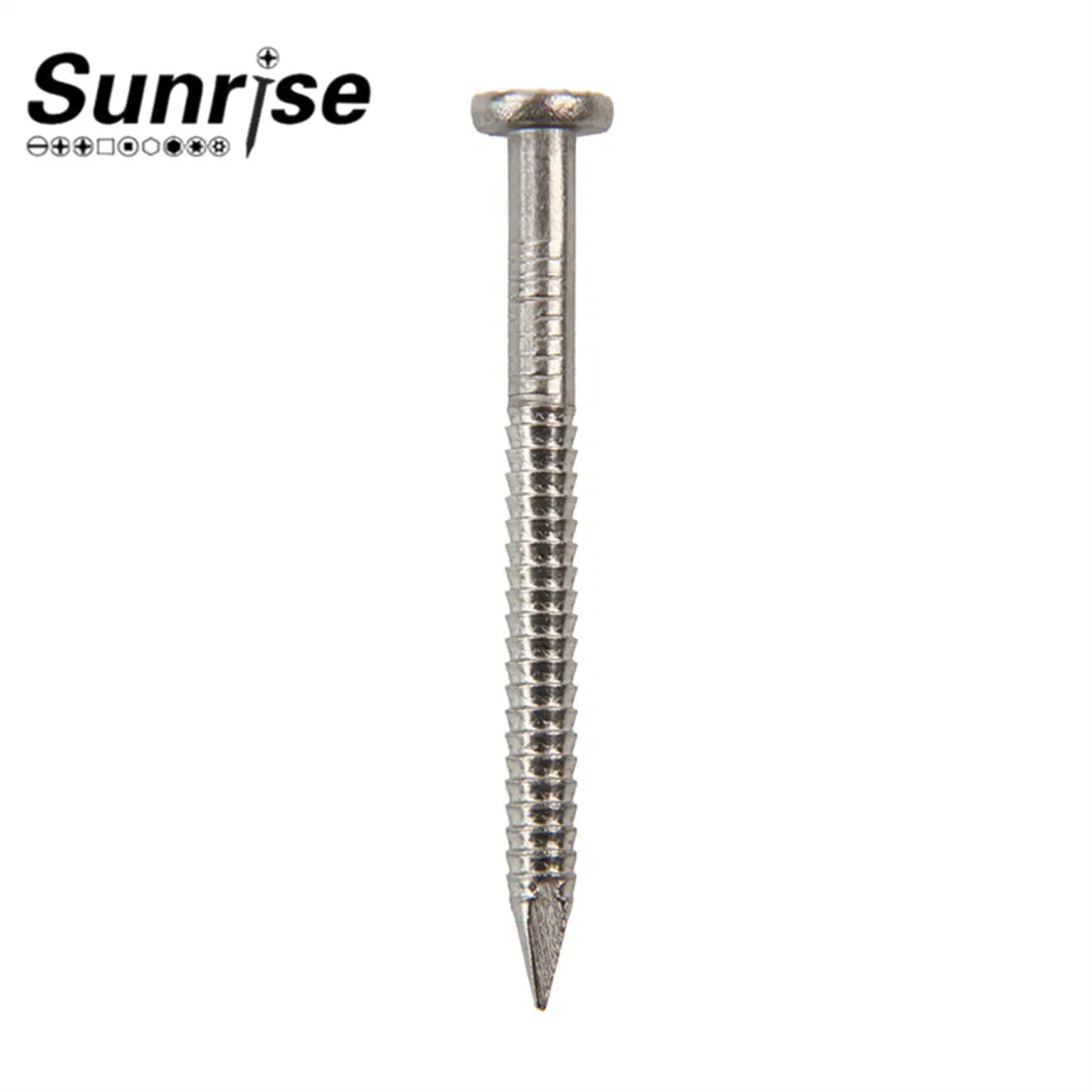 Stainless Steel Shank Nails Screws