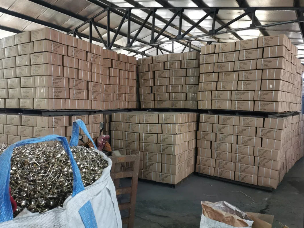 Factory Supply Roofing Nails with Umbrella Head