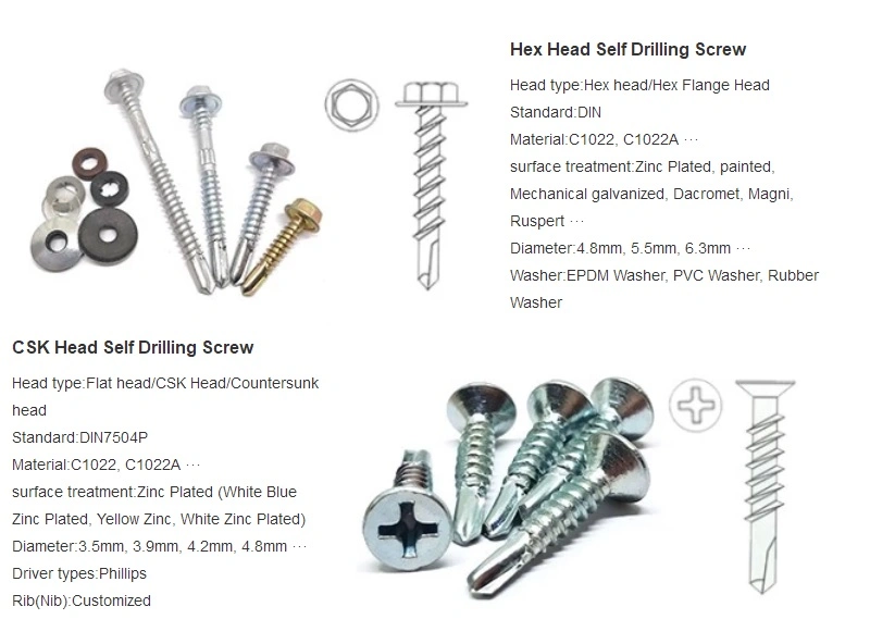 Flat Head Roofing Screw SS304 316 Self Drilling Screw Tek Screw for Wood