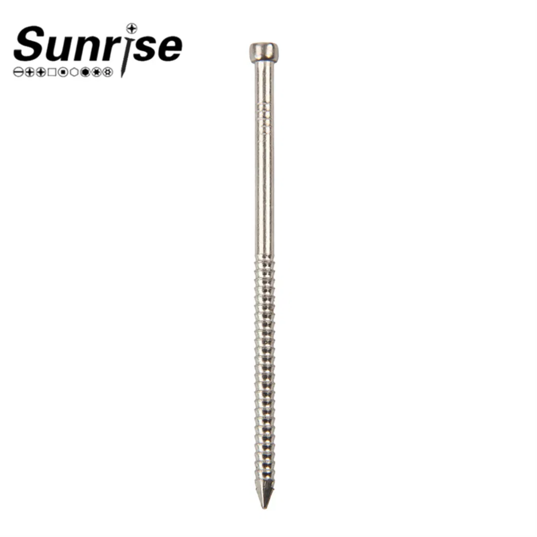 Various Head Types Stainless Steel Loose Nails Screws