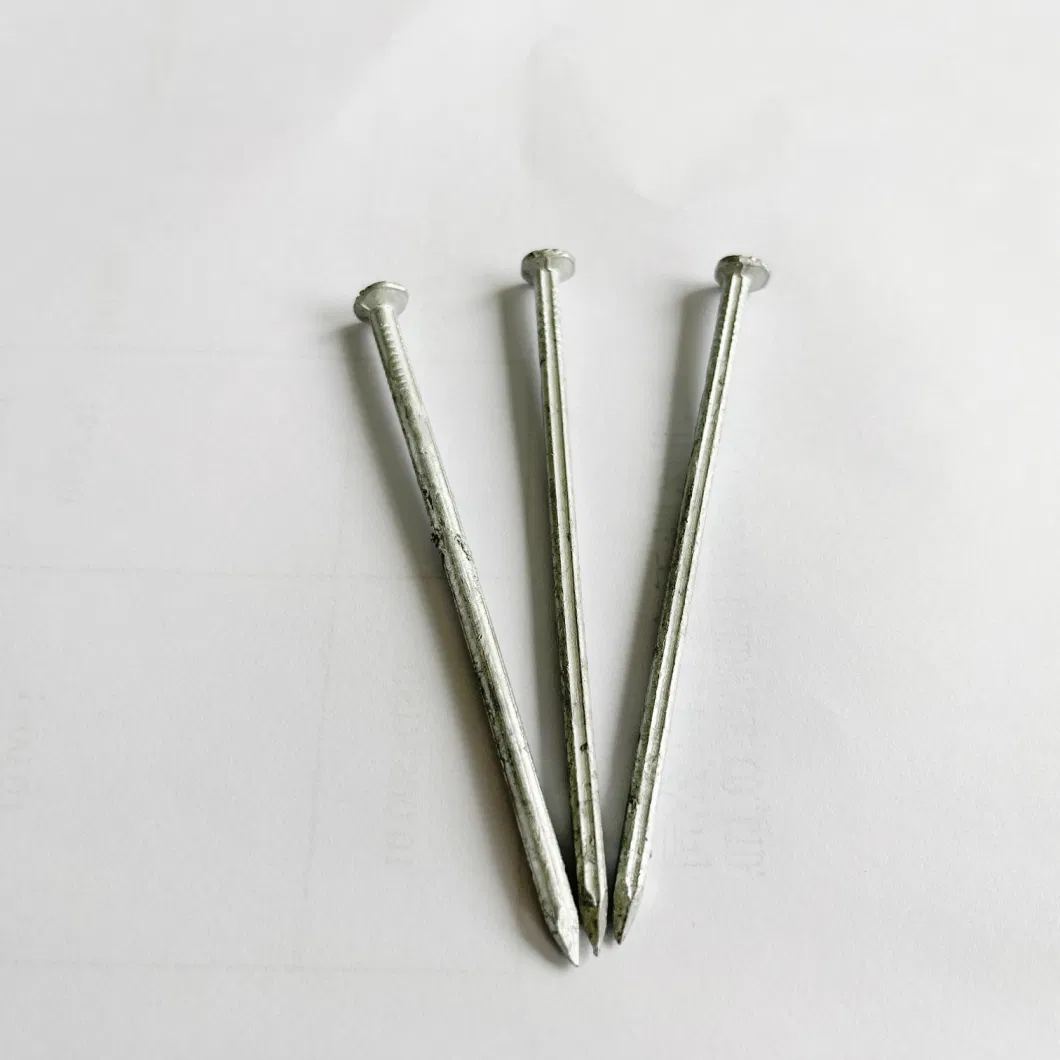 Flat Head Quadrangled Countersunk Head Hot DIP Galva Grooved Square Shank Nails