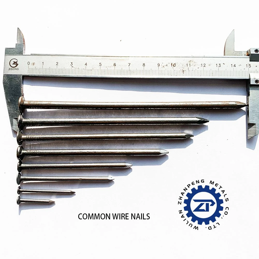 Manufacture ISO Concrete Nail Screw Hardware Framing Wire Iron Roofing Nails Fastener