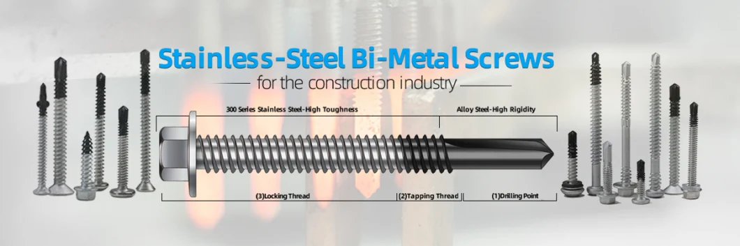 TGR/Tsingri SS316+SCM435 Bi Metal Ruspert Surface Hex Washer Double Thread Self Drilling Tapping Roofing Screws