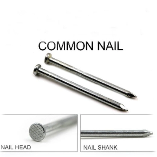 Lowest Price Electric Galvanized Common Nail with High Quality