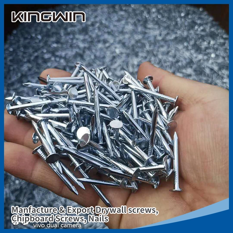 Electro Galvanized Large Flat Head Clout Roofing Nails Cupper Nails