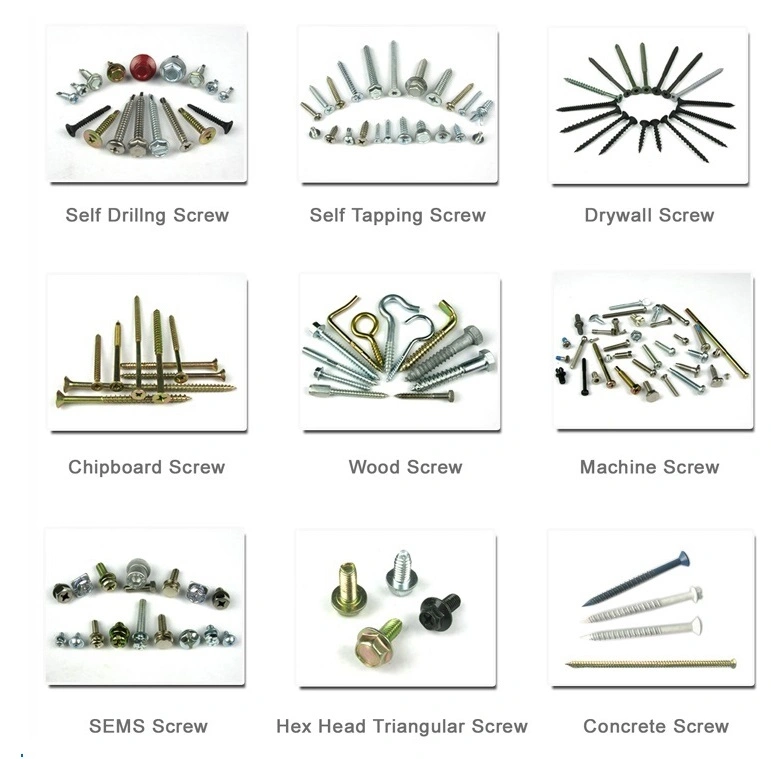 Flat Head Roofing Screw SS304 316 Self Drilling Screw Tek Screw for Wood