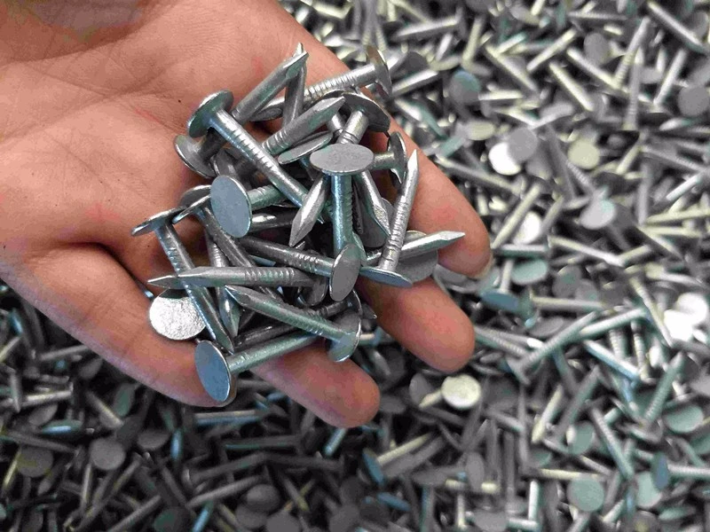 1-1/4 Inch High Quality Galvanized Large Flat Head Zinc Coating Iron Clout Nails Roofing Ceiling Nails