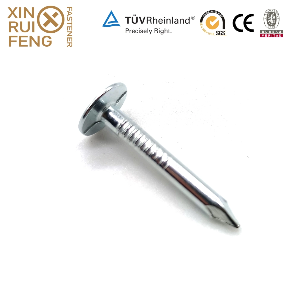 Xinruifeng Fasteners American Smooth Shank 5bl Pack 1 2/1 in. Electrogalvanized Eg. HDG. Mg. Steel Roofing Nails