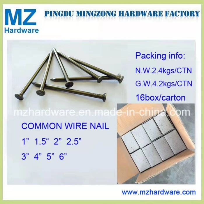 Common Nail/Building Nail/Wire Nail/Construction Nail/Iron Nail/Steel Nail/Nail