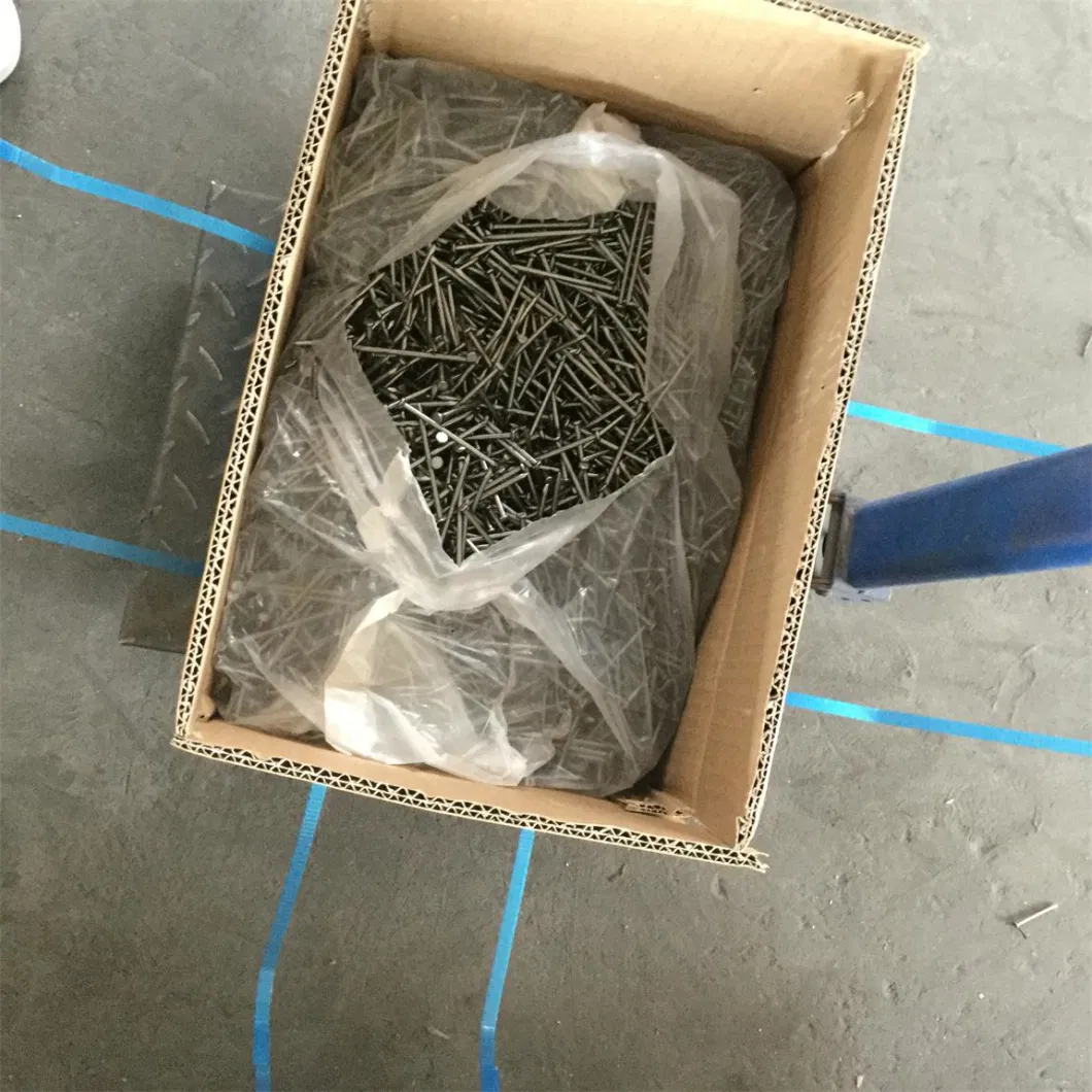 Common Iron Wire Nails Price of Iron Nail