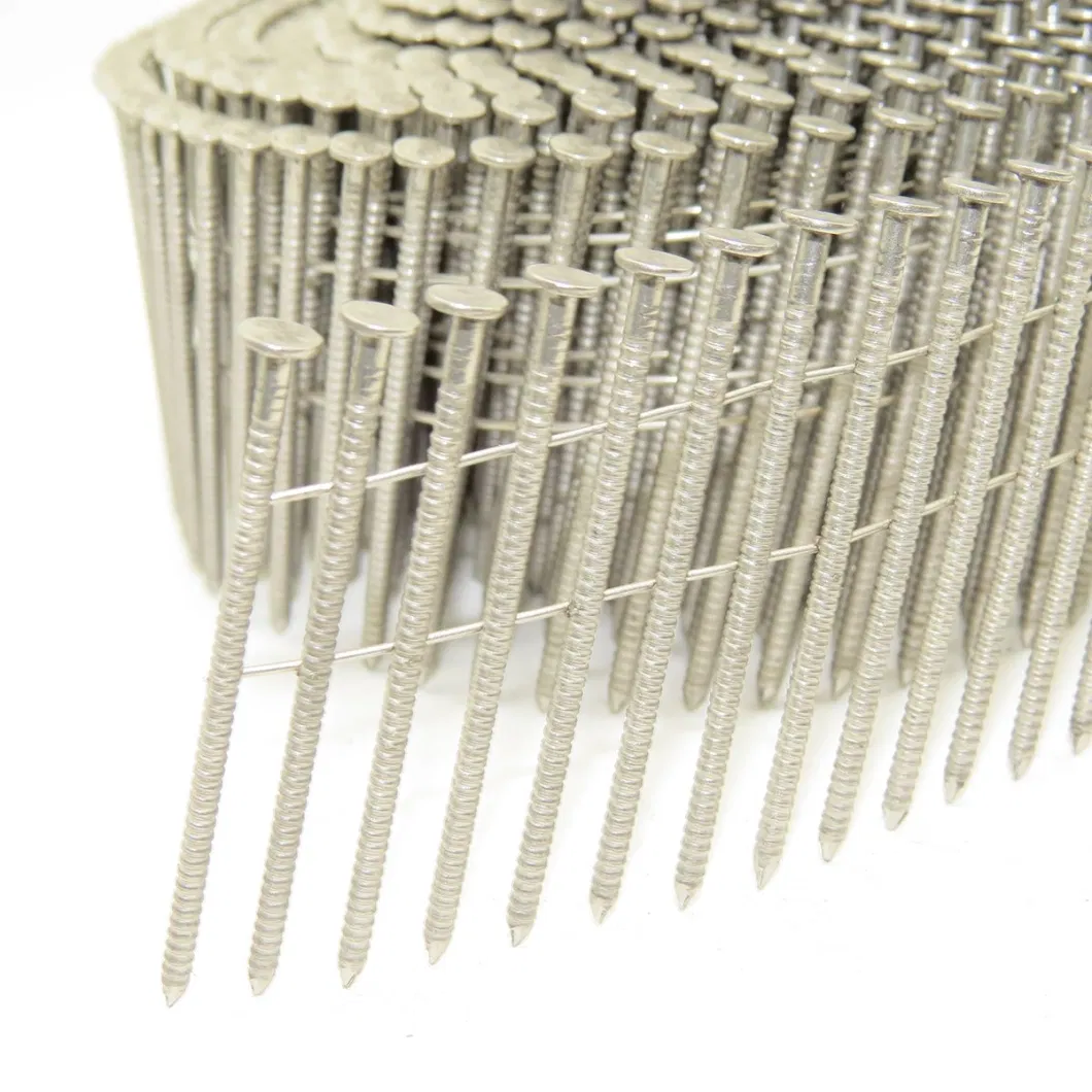 High Quality Stainless Steel Collated Coil Nails