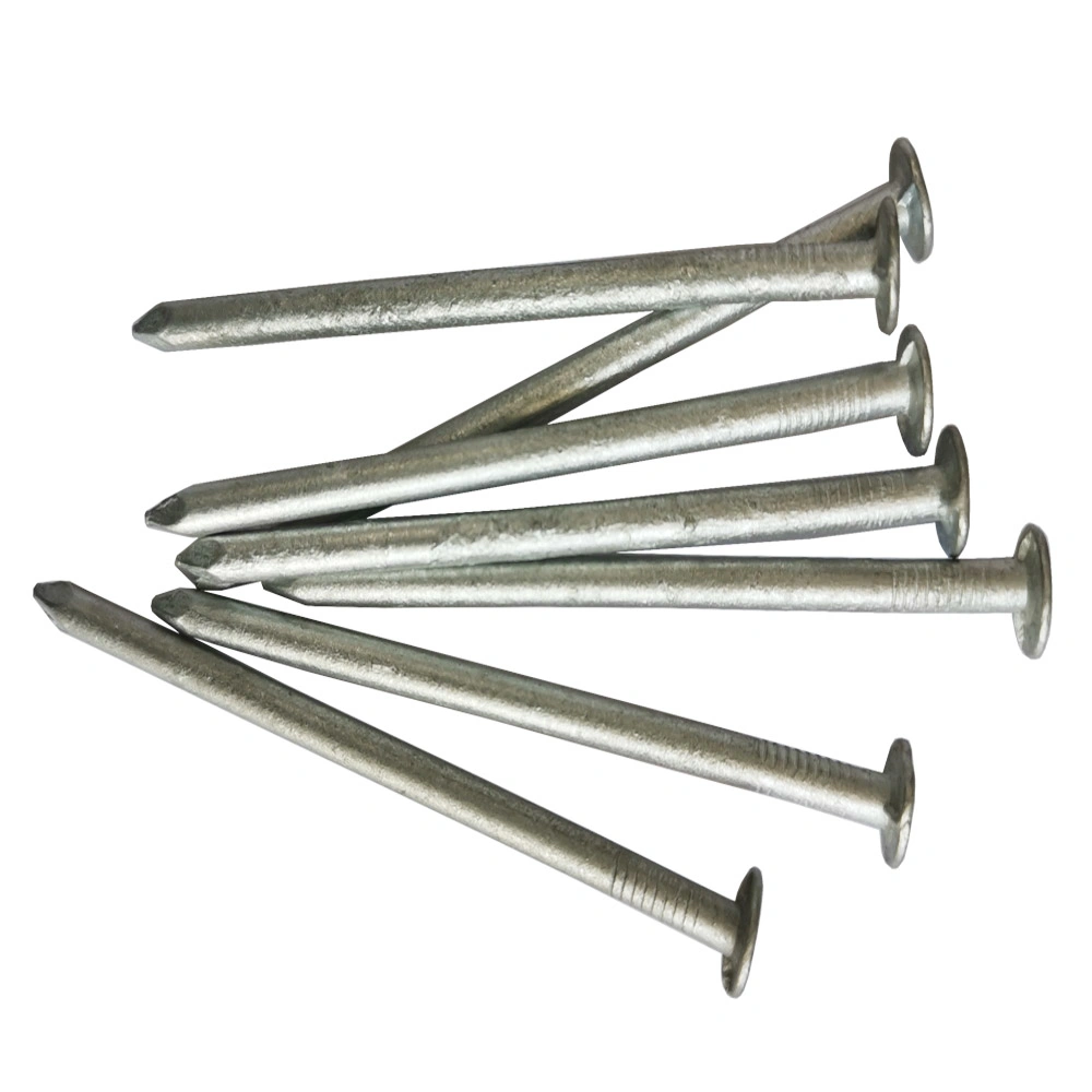 Wholesale Hot Dipped Galvanized Common Nail with High Quality