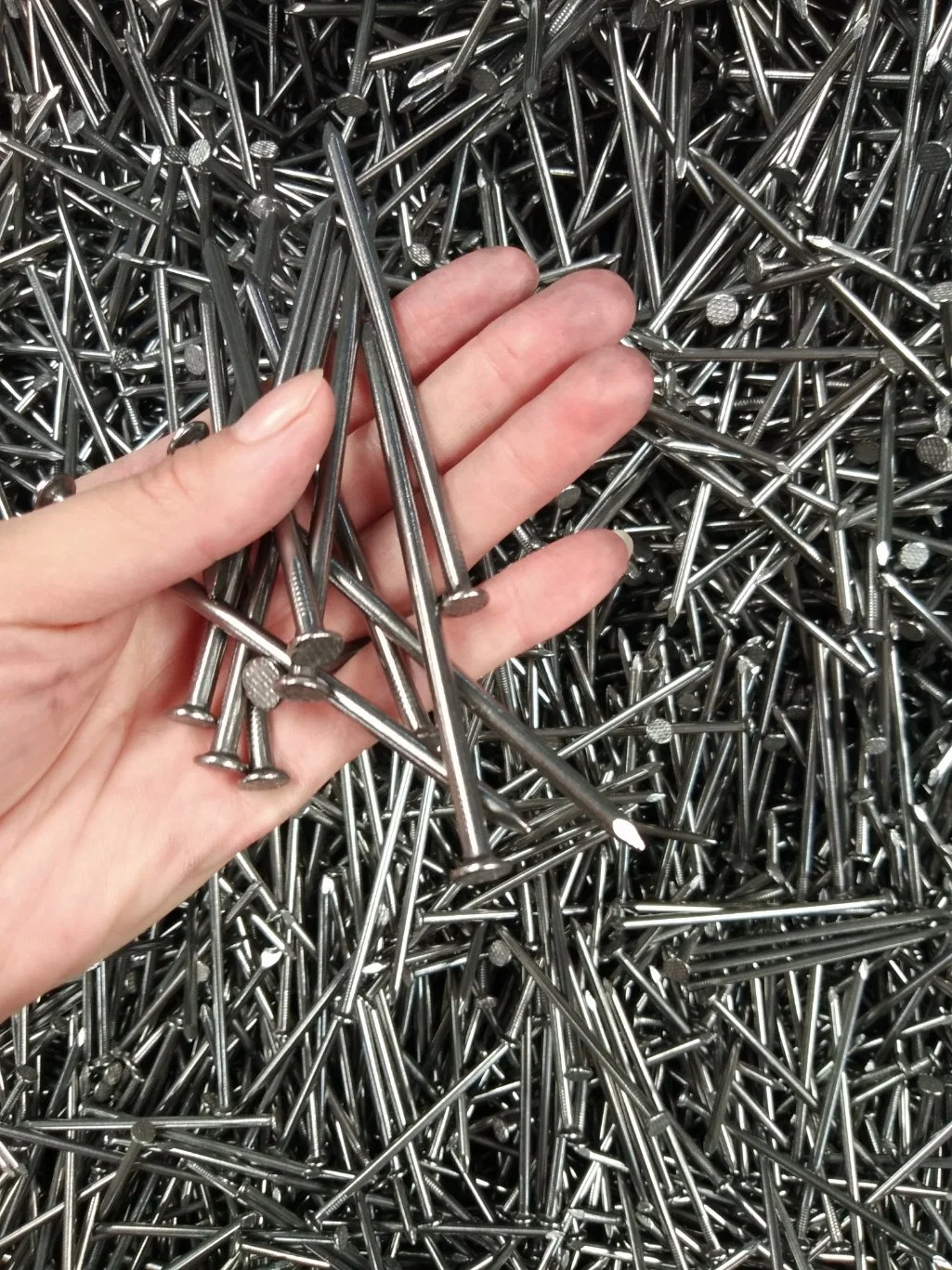 1&quot;-6&quot; High Quality Common Nail for Construction