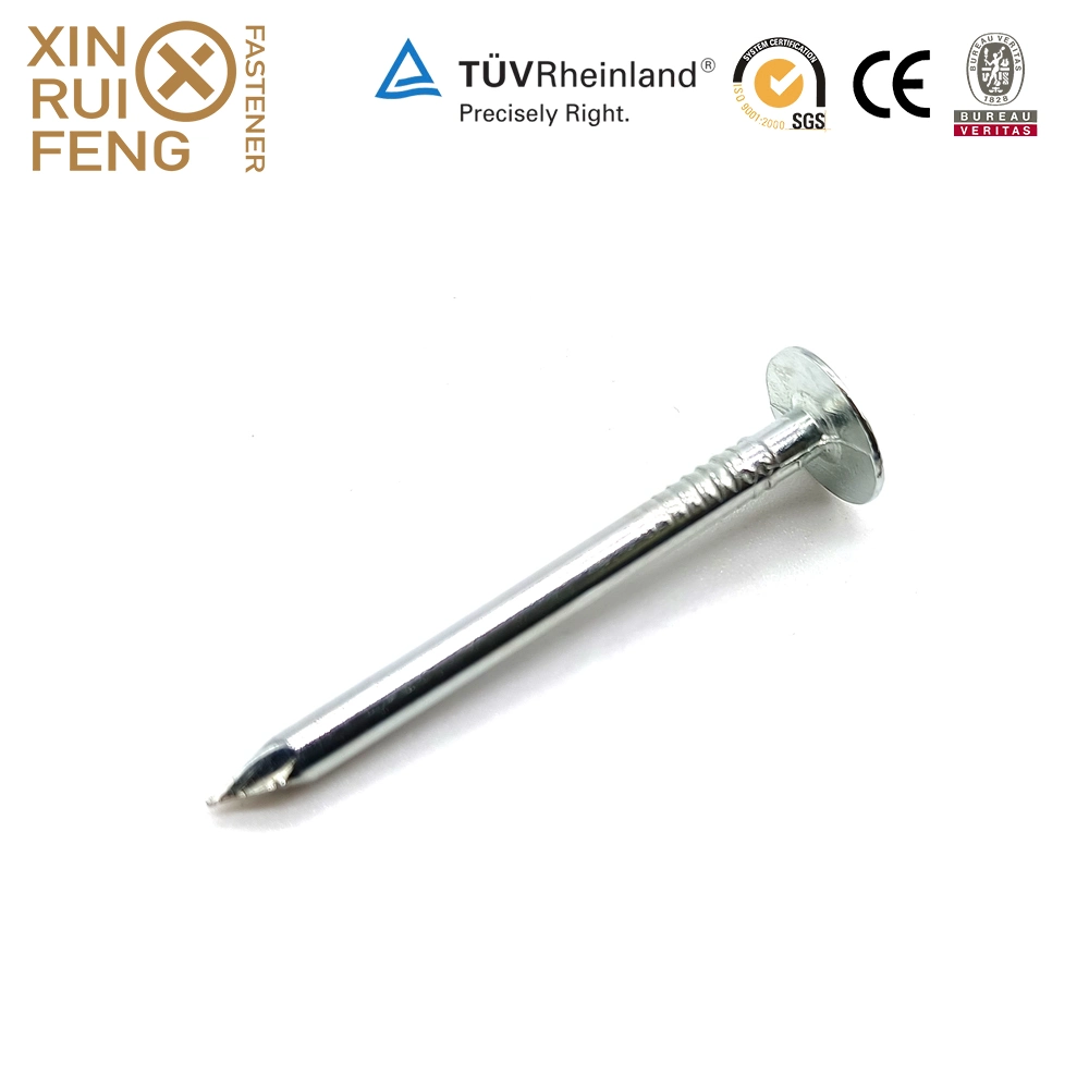 Xinruifeng Fasteners American Smooth Shank 5bl Pack 1 2/1 in. Electrogalvanized Eg. HDG. Mg. Steel Roofing Nails