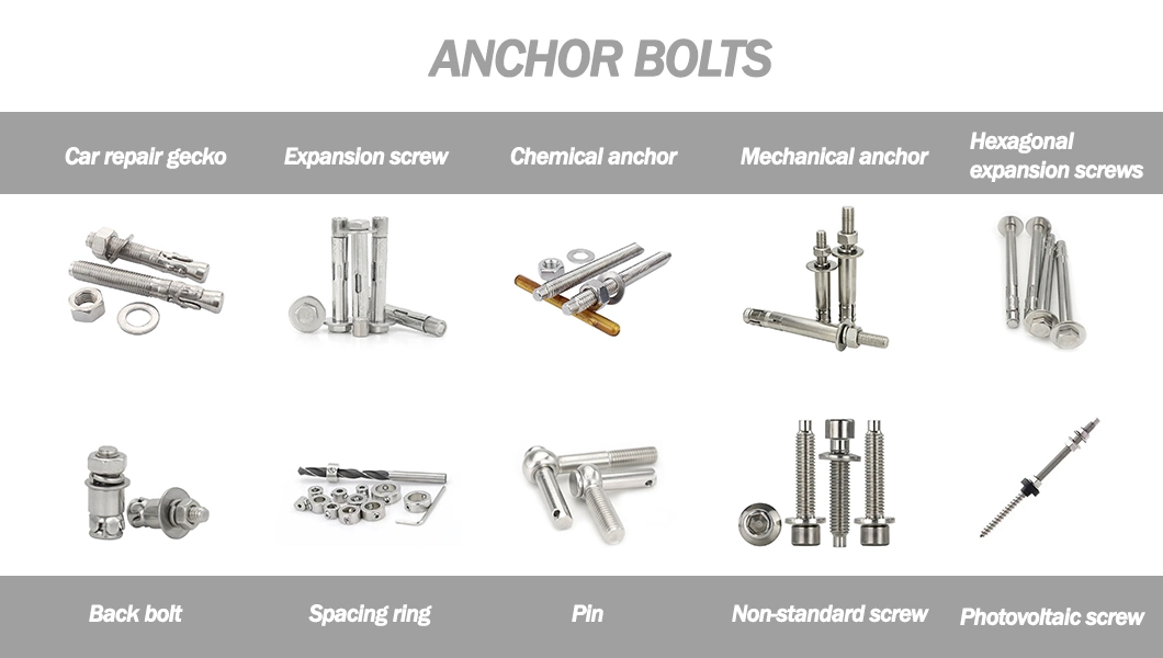 Stainless Carbon Steel Hex Hexagon Round Bugle Slotted Head Coarse Thread Drywall Furniture Wood Self Tapping Drilling Roofing Ring Anchor Chipboard Screws