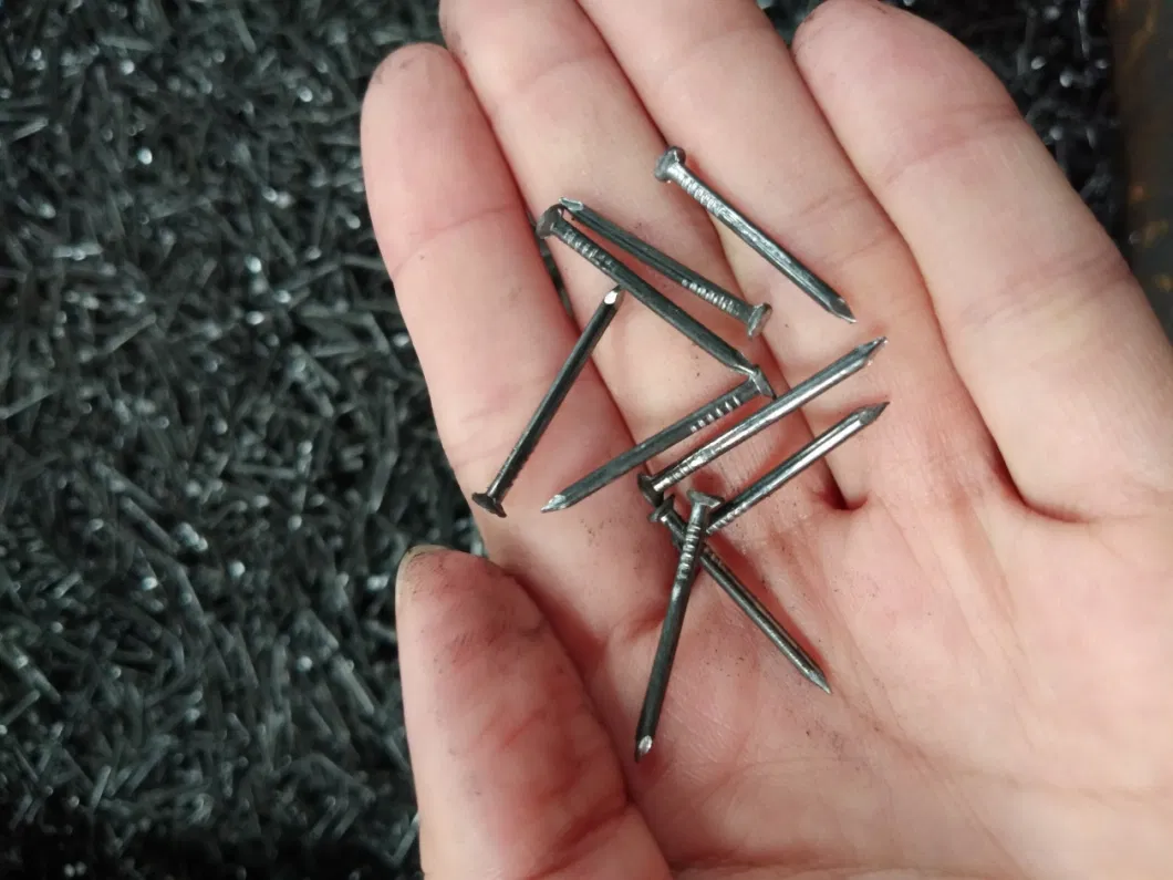 Gold Quality Manufacturer Iron Nail Common Nails Factory