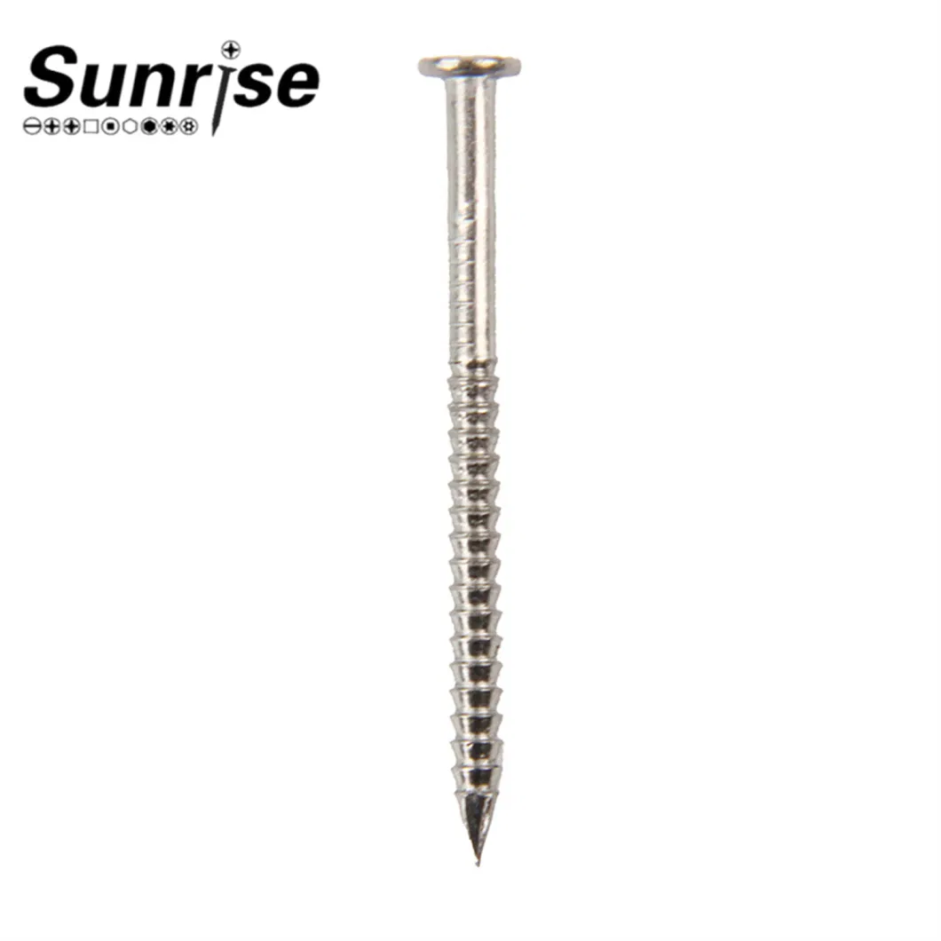 Stainless Steel Loose Nails Screw