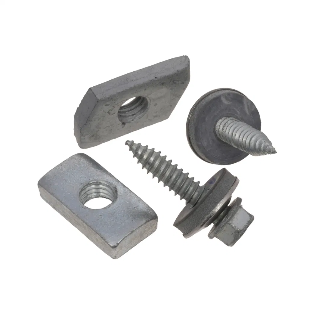 Screw/Ruspert Screw/Self Drilling Screw/Double Thread Screw