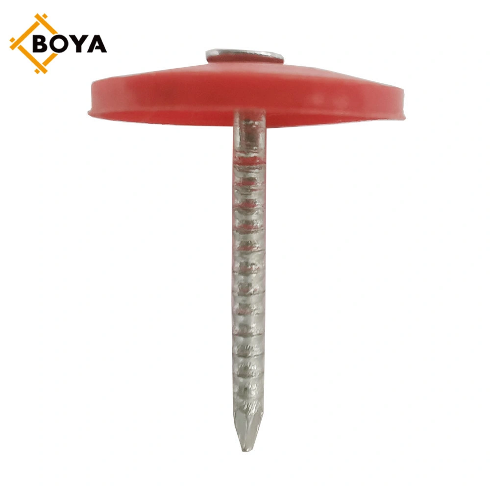 Factory Supplied Plastic Cap Roofing Nails with Excellent Quality