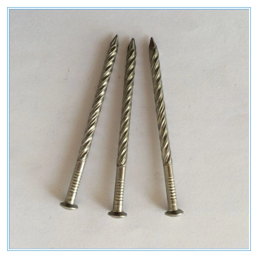 Galvanzied Screw Ring Twist Shank Nail