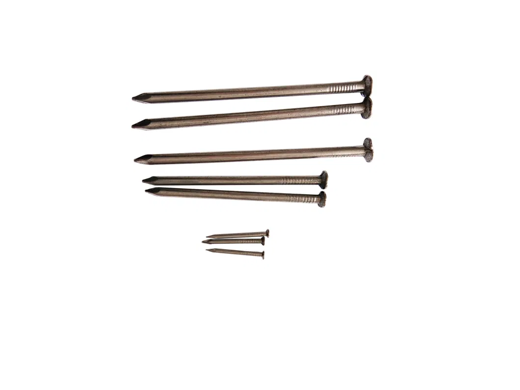 Common Wire Nail Professional Manufacturer in China