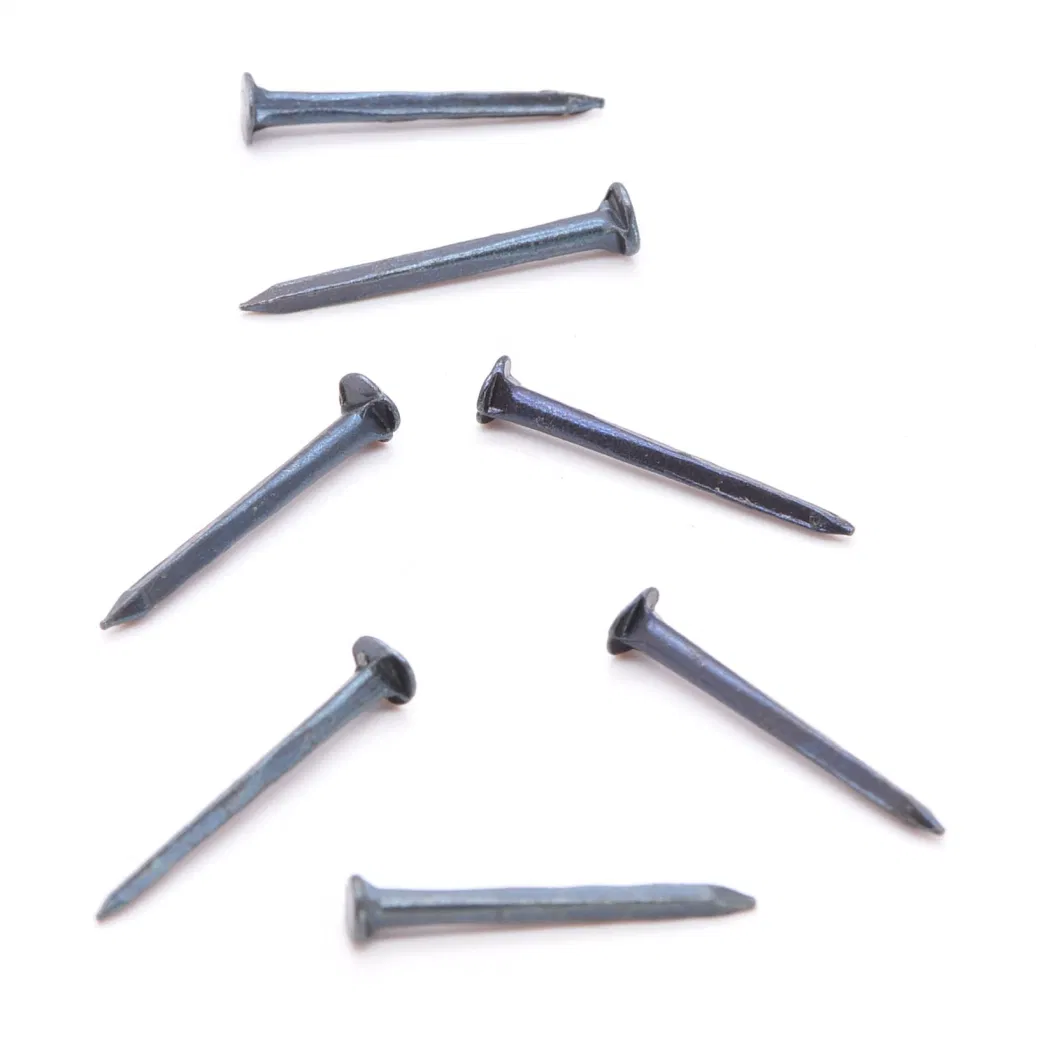 1 Inch Steel Cut Tacks / Flat Head Hand Cut Shoe Tacks and Square Body Nail / Blue Decorative Nail Iron DIN