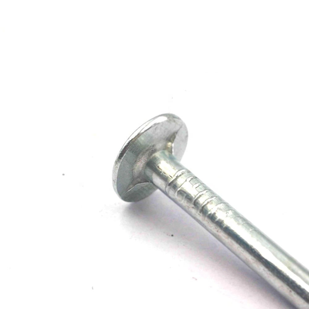 1 Inch High Quality Galvanized Large Flat Head Zinc Coating Iron Clout Nails Roofing Ceiling Nails